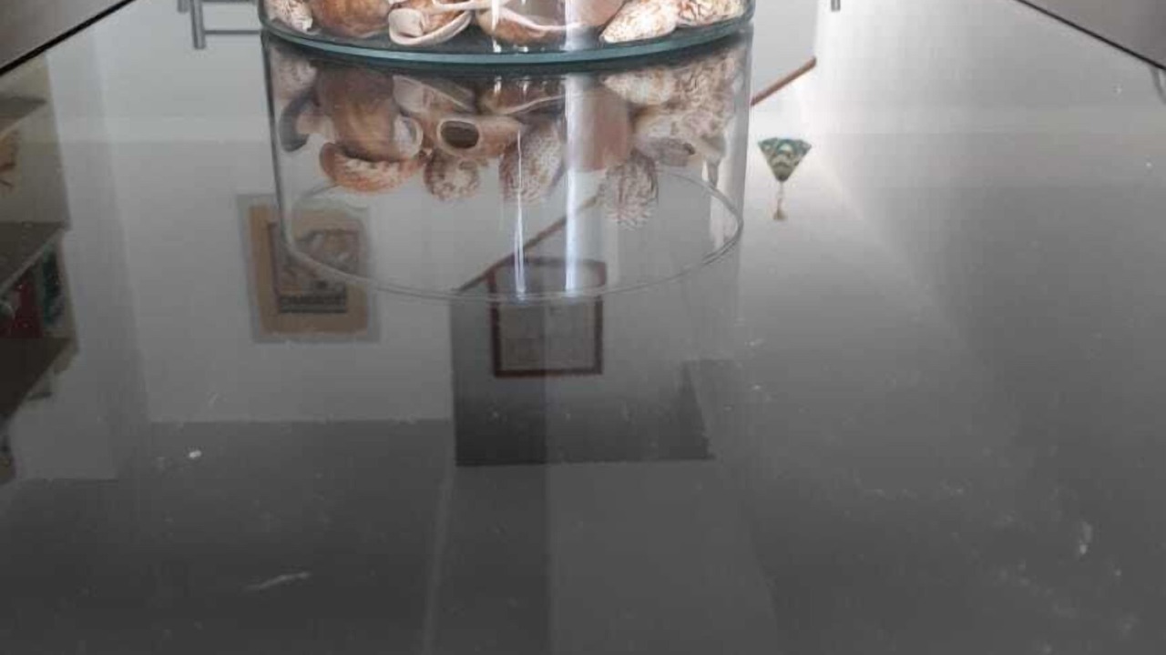 Photo of Others in Coveta Fuma