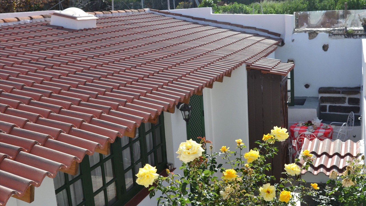 Photo of Outdoor in La Guancha