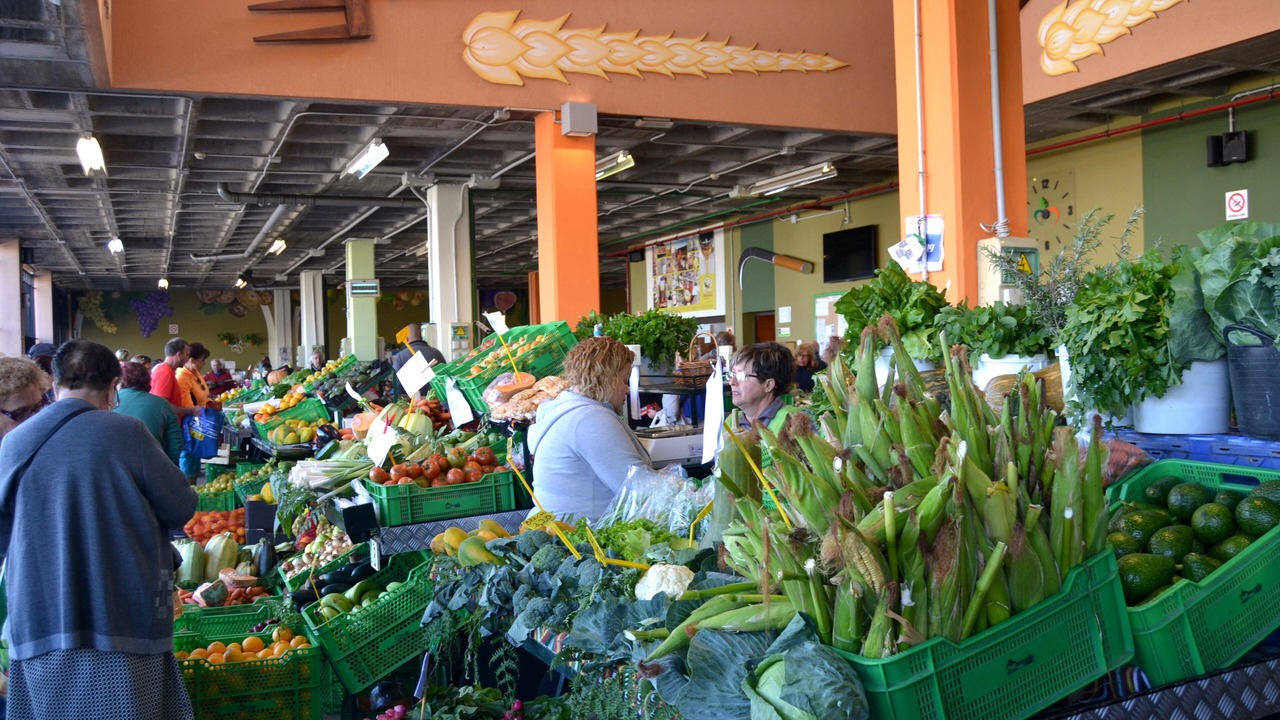 Photo of Outdoor in La Guancha