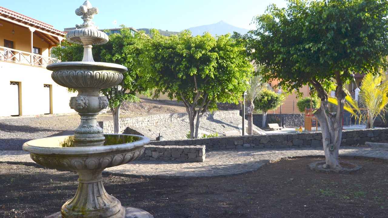 Photo of Outdoor in La Guancha
