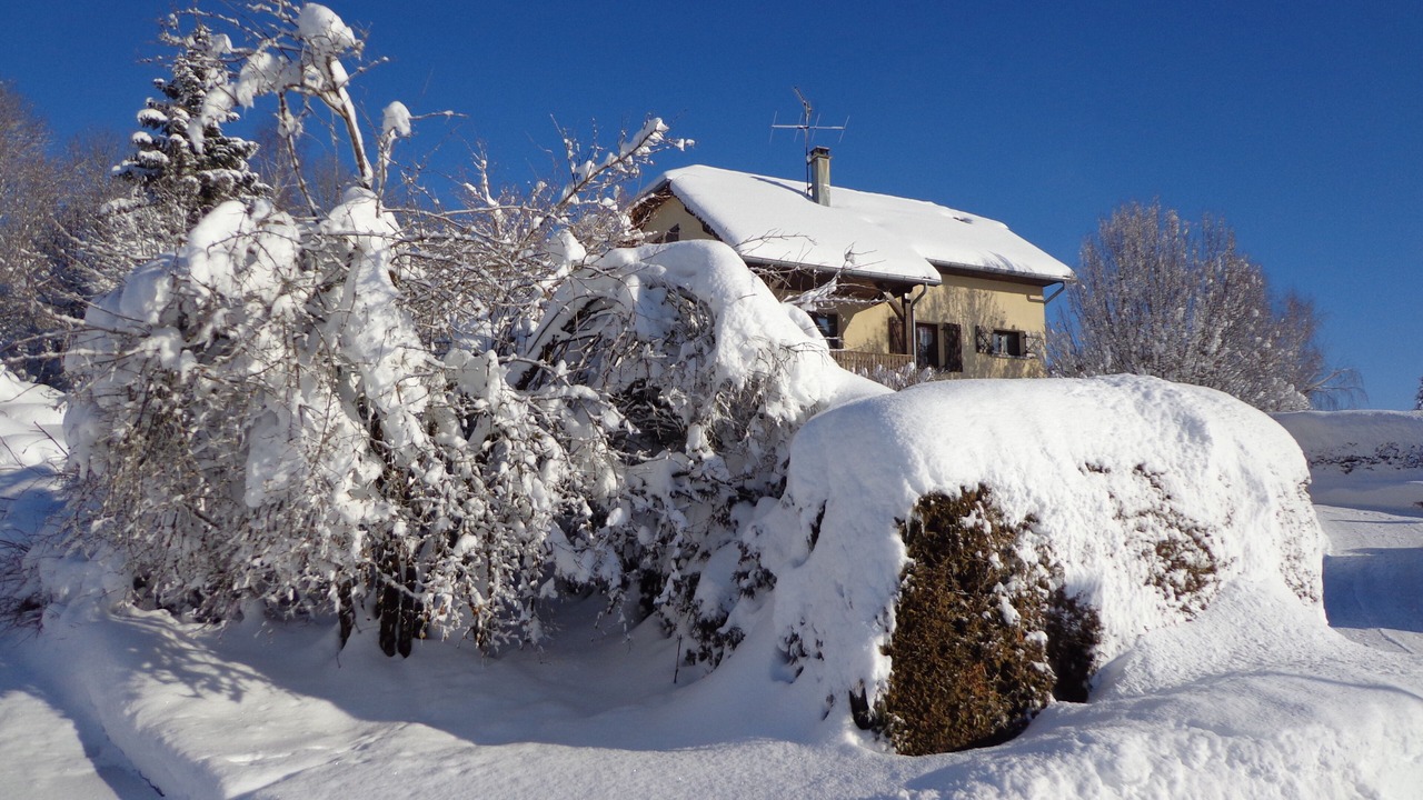 Photo of Outdoor in Longchaumois