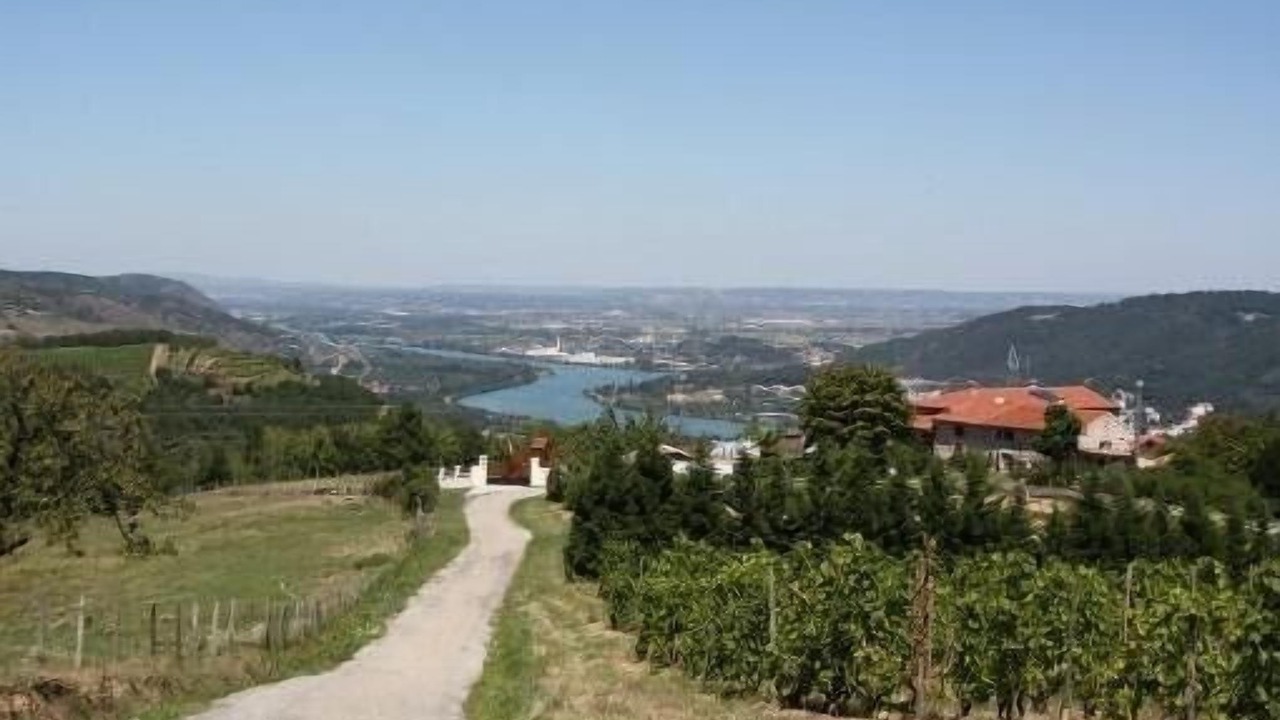 Photo of Others in Ozon