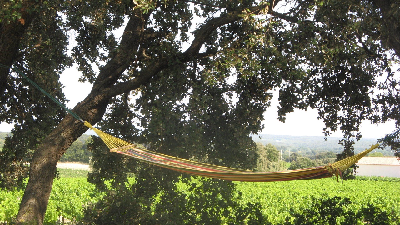 Photo of Outdoor in Lambesc