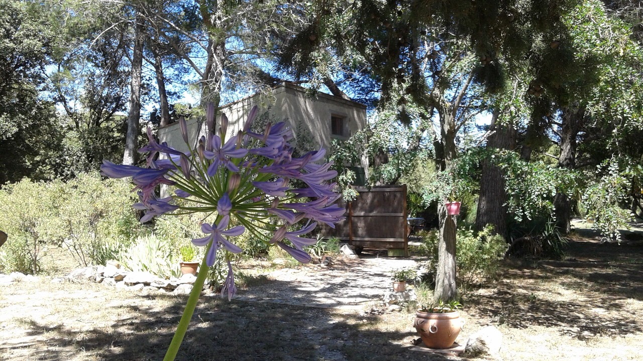 Photo of Outdoor in Lambesc