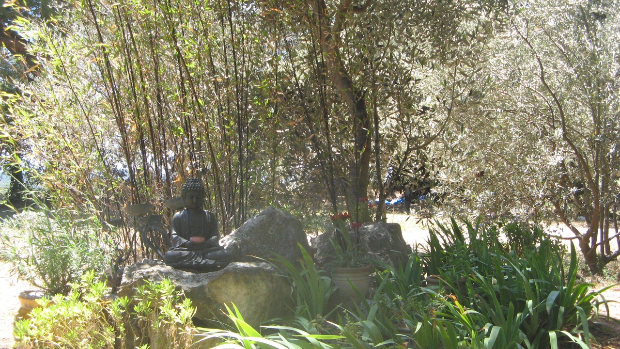 Photo of Outdoor in Lambesc