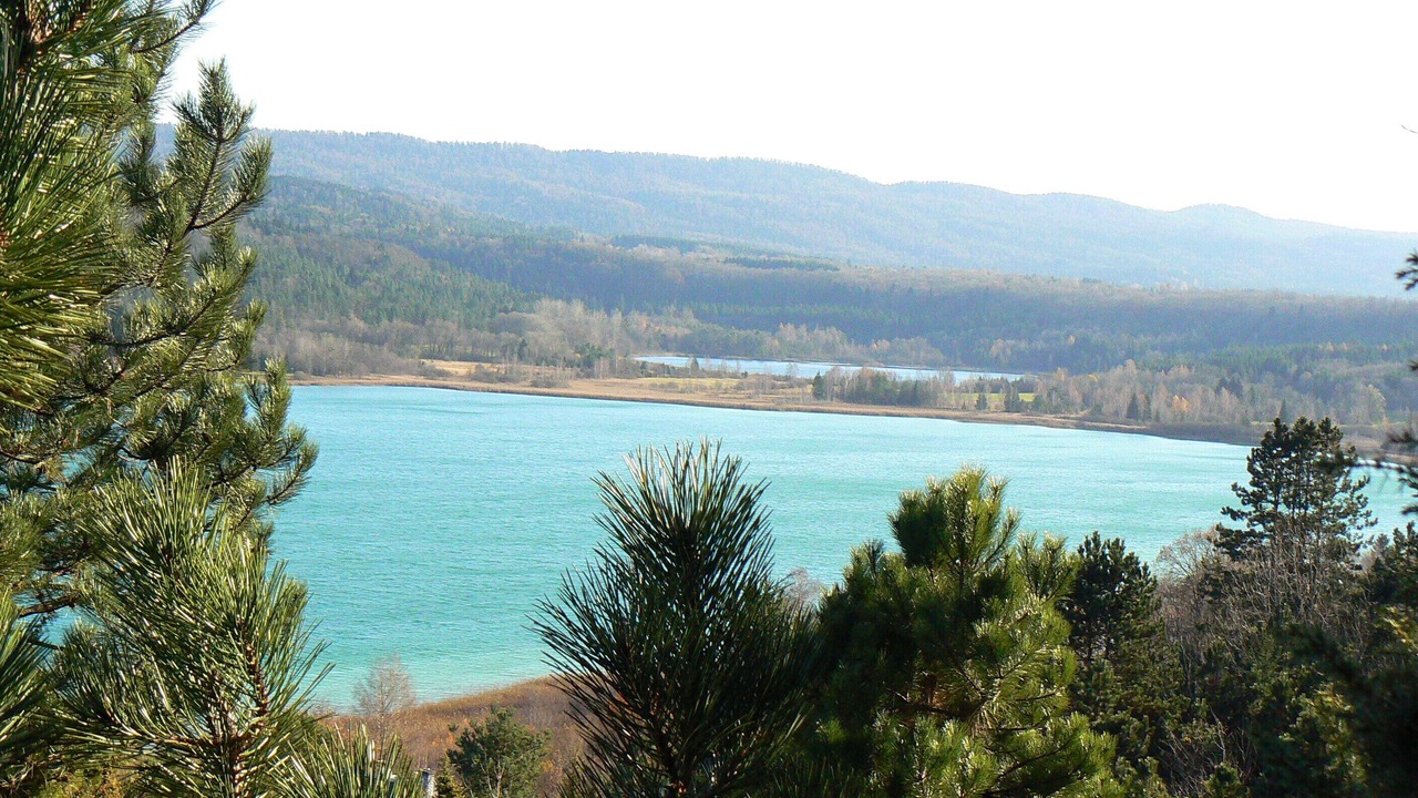 Photo of Others in Clairvaux-les-Lacs