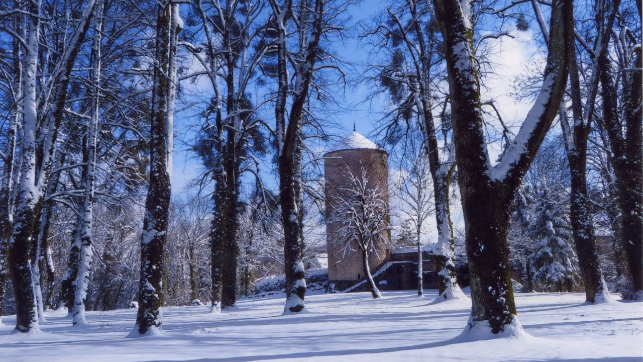 Photo of Outdoor in Clairvaux-les-Lacs