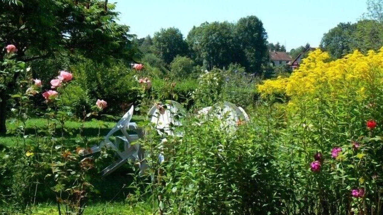Photo of Outdoor in Clairvaux-les-Lacs