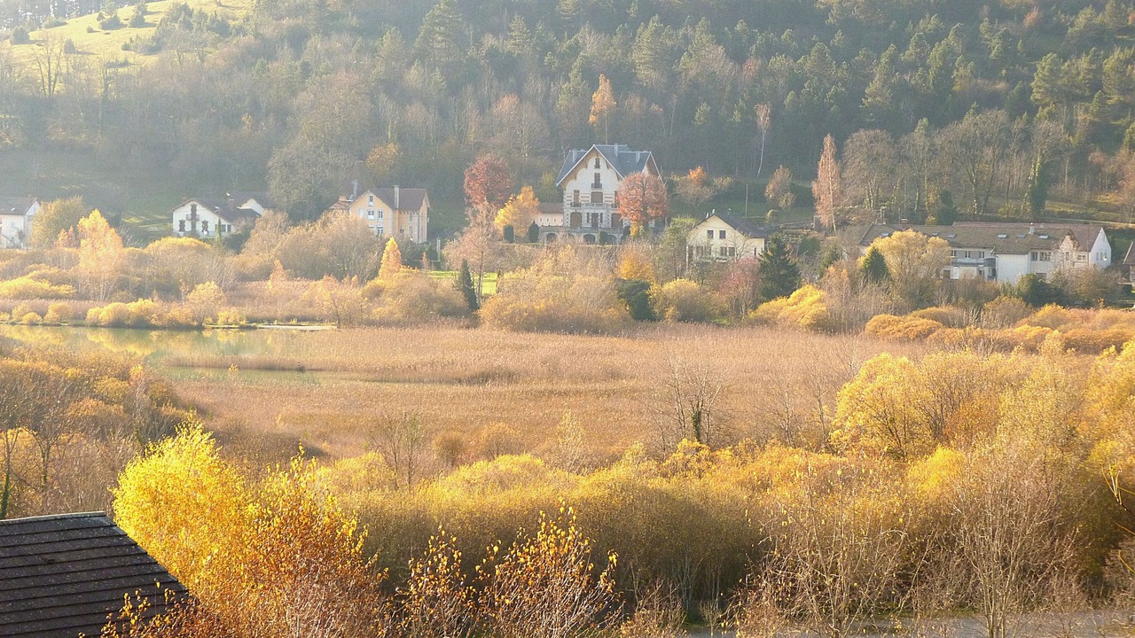 Photo of Others in Clairvaux-les-Lacs