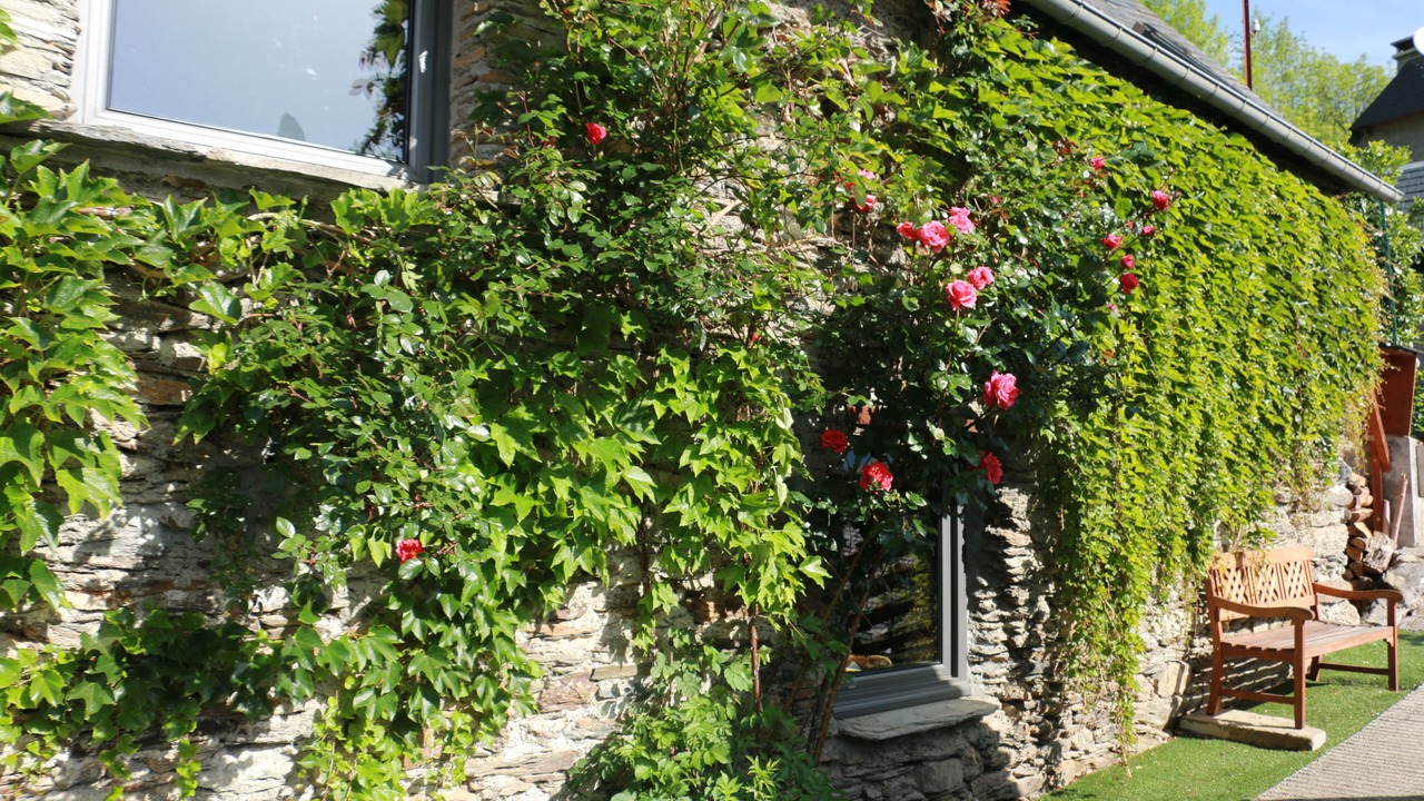 Photo of Outdoor in Cadeilhan-Trachere