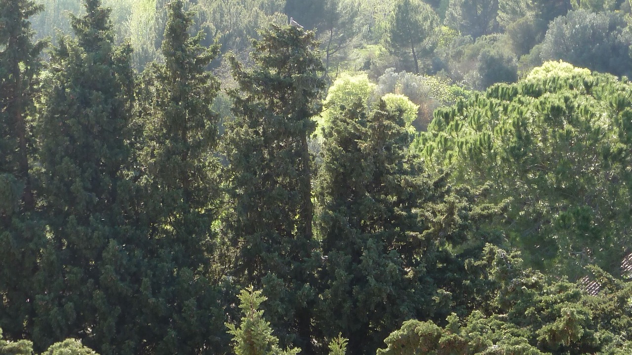 Photo of Others in Miramas le Vieux