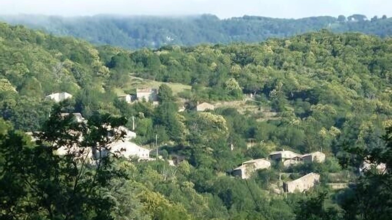 Photo of Outdoor in Burzet