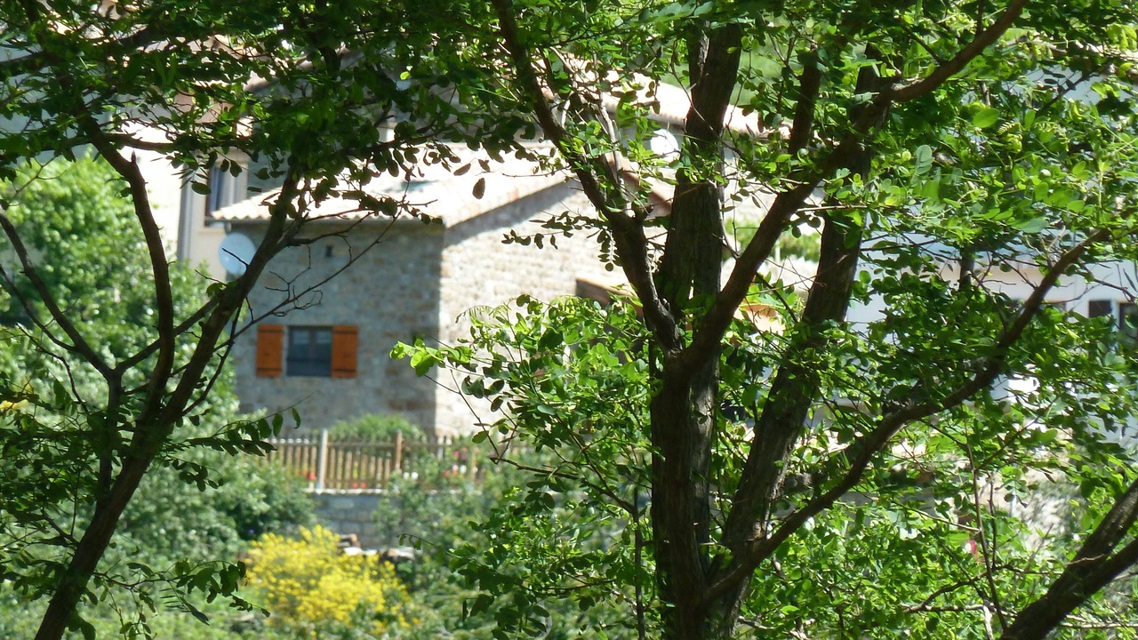 Photo of Outdoor in Burzet
