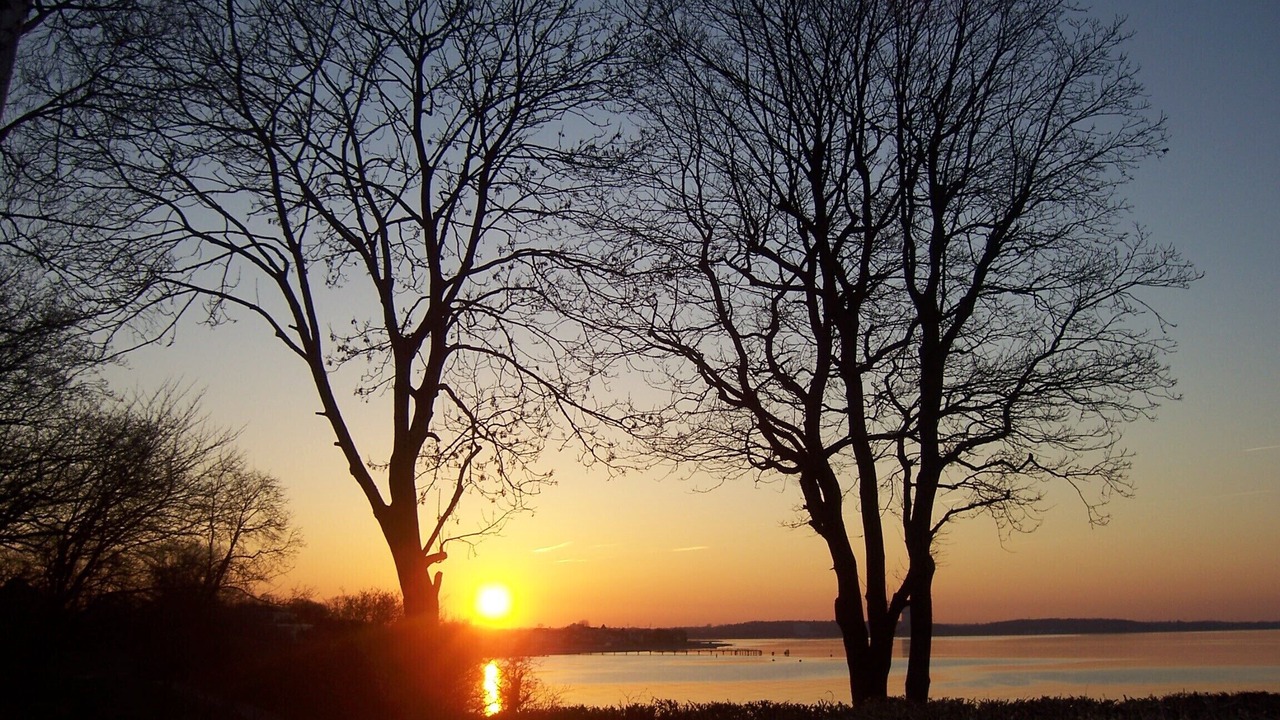 Photo of Others in Niendorf