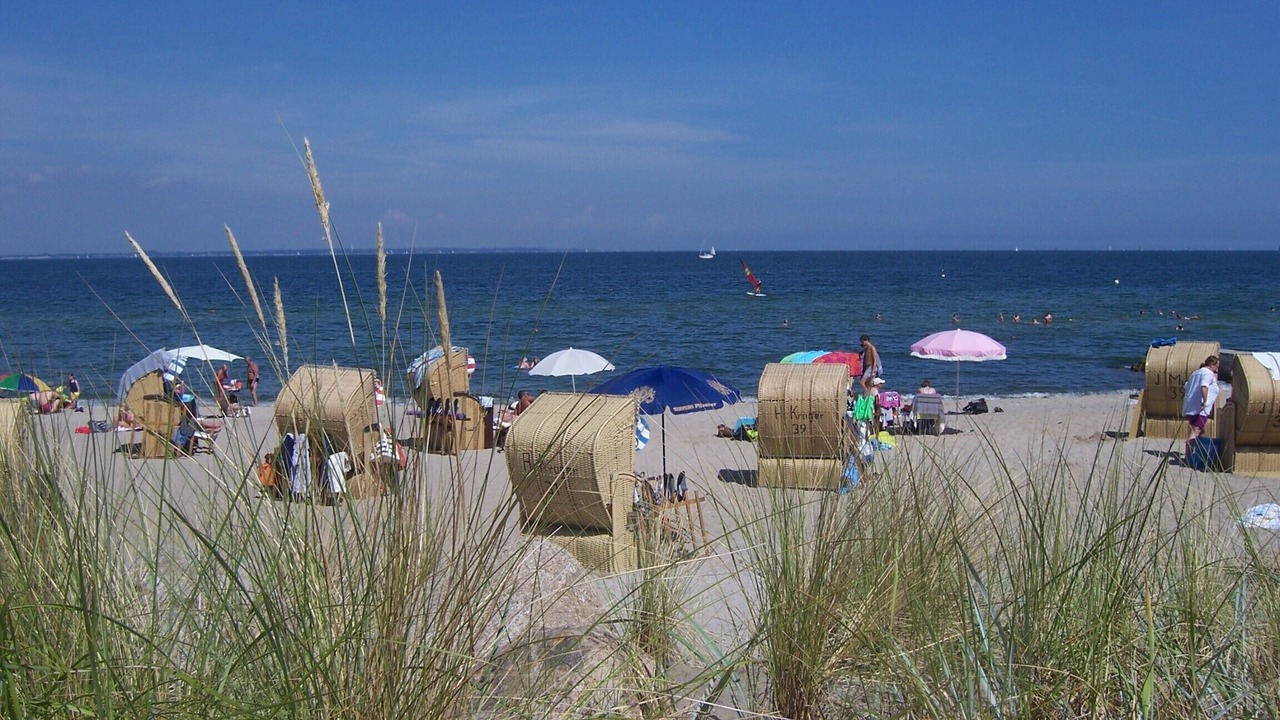 Photo of Others in Niendorf