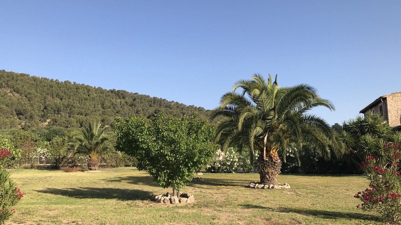 Photo of Outdoor in Alcudia