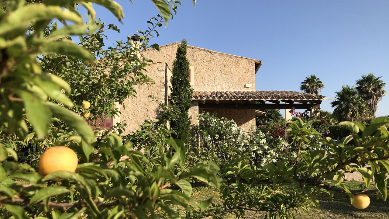 Photo of Outdoor in Alcudia