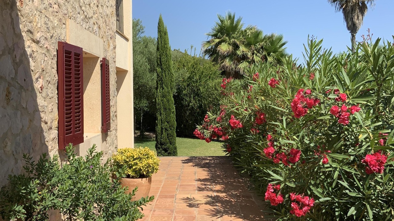 Photo of Outdoor in Alcudia