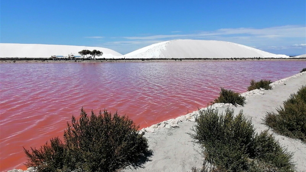 Photo of Others in Salin-de-Giraud