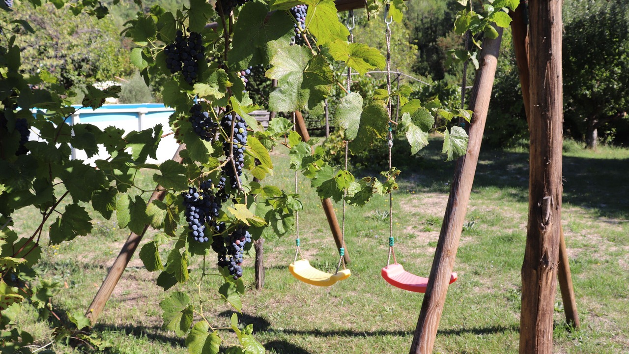 Photo of Outdoor in Le Martinet