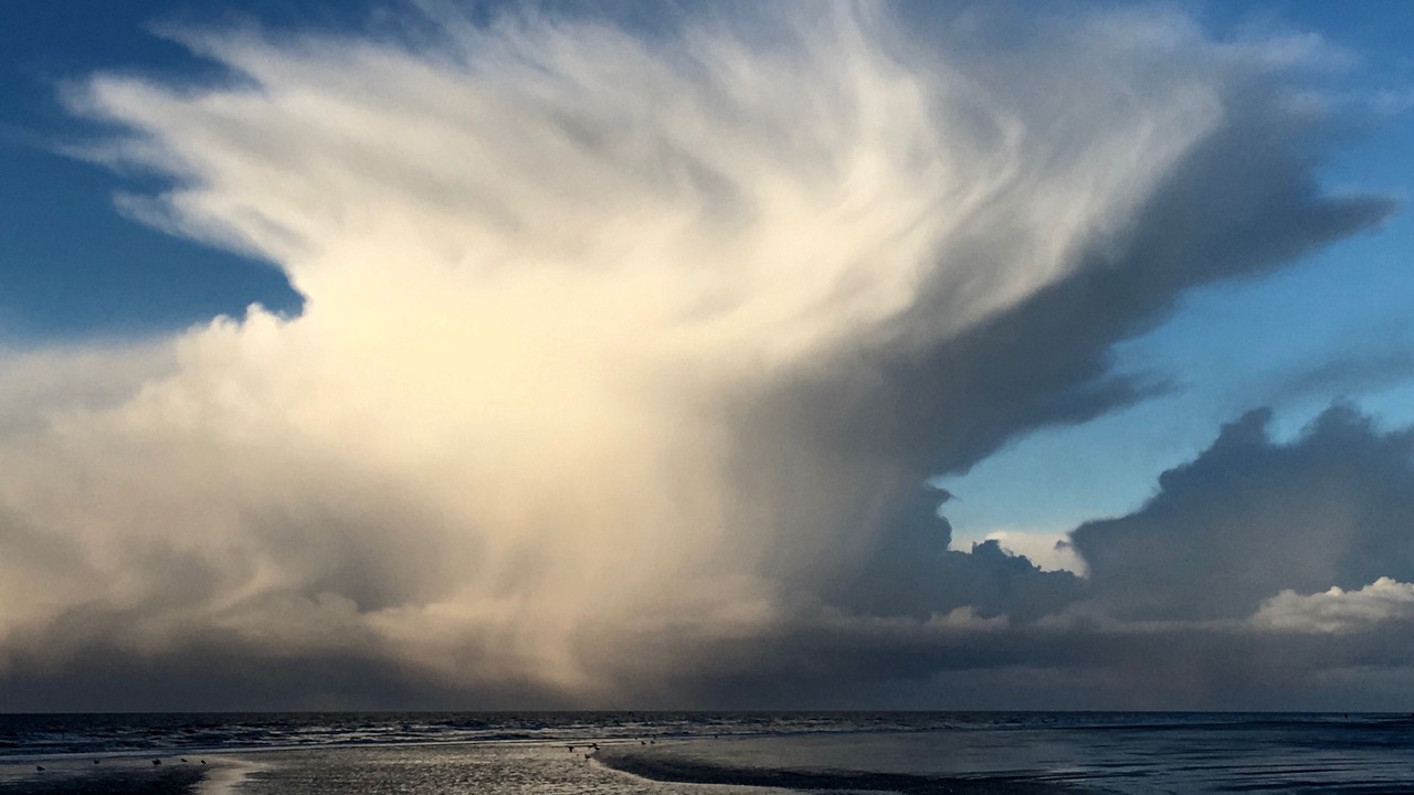 Photo of Others in St. Peter-Ording