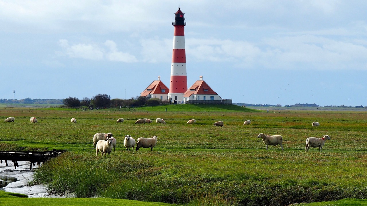 Photo of Others in St. Peter-Ording