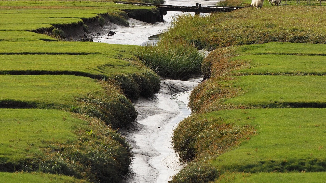 Photo of Outdoor in St. Peter-Ording