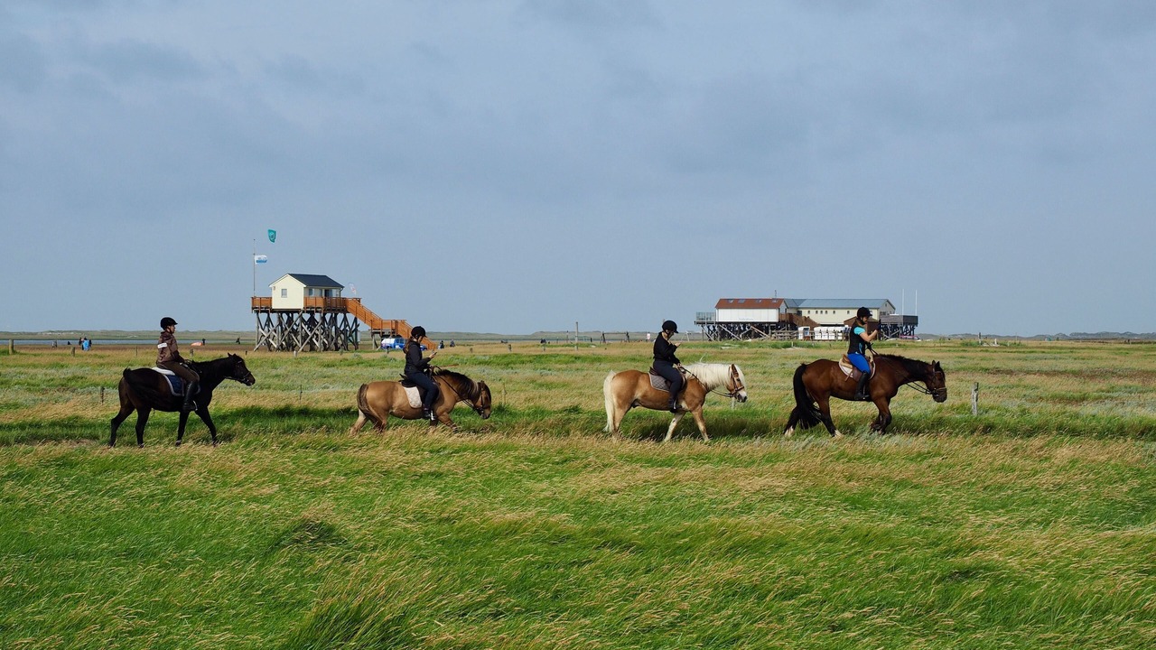 Photo of Others in St. Peter-Ording