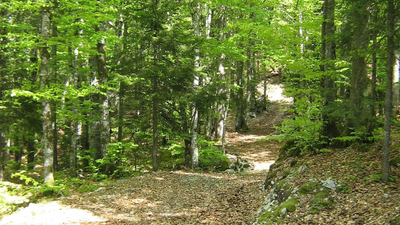 Photo of Outdoor in Paroisse des Monts de Bienne
