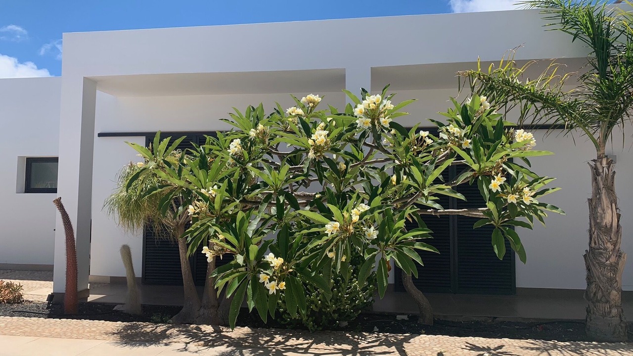 Photo of Outdoor in Villaverde