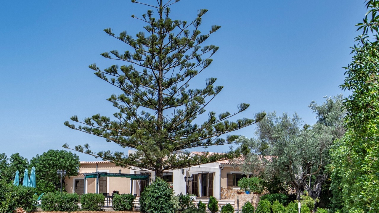 Photo of Outdoor in Cala Bona