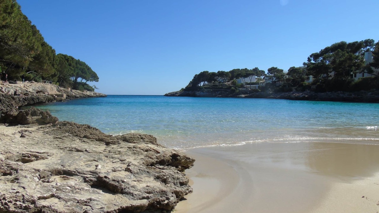 Photo of Others in Cala d'Or