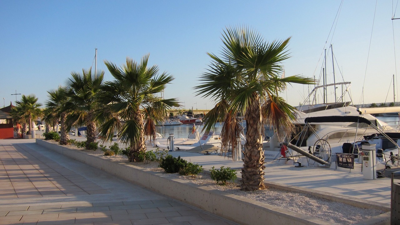 Photo of Others in Orihuela Costa