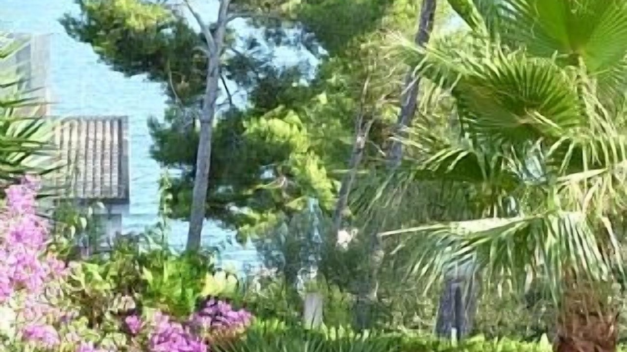 Photo of Outdoor in Alcanada