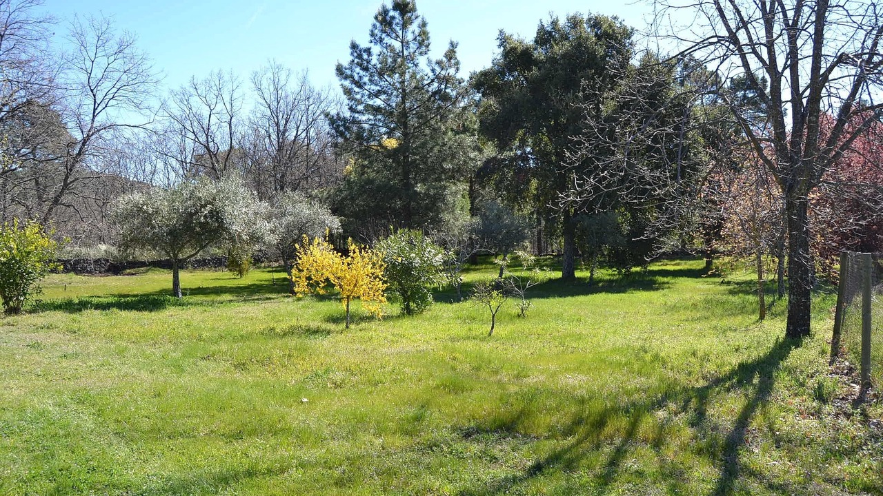Photo of Outdoor in Guisando