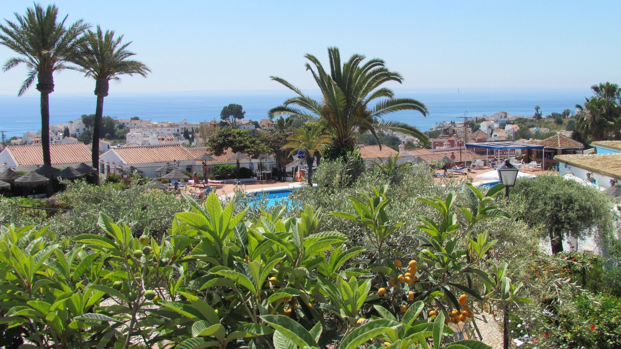 Photo of Others in Nerja