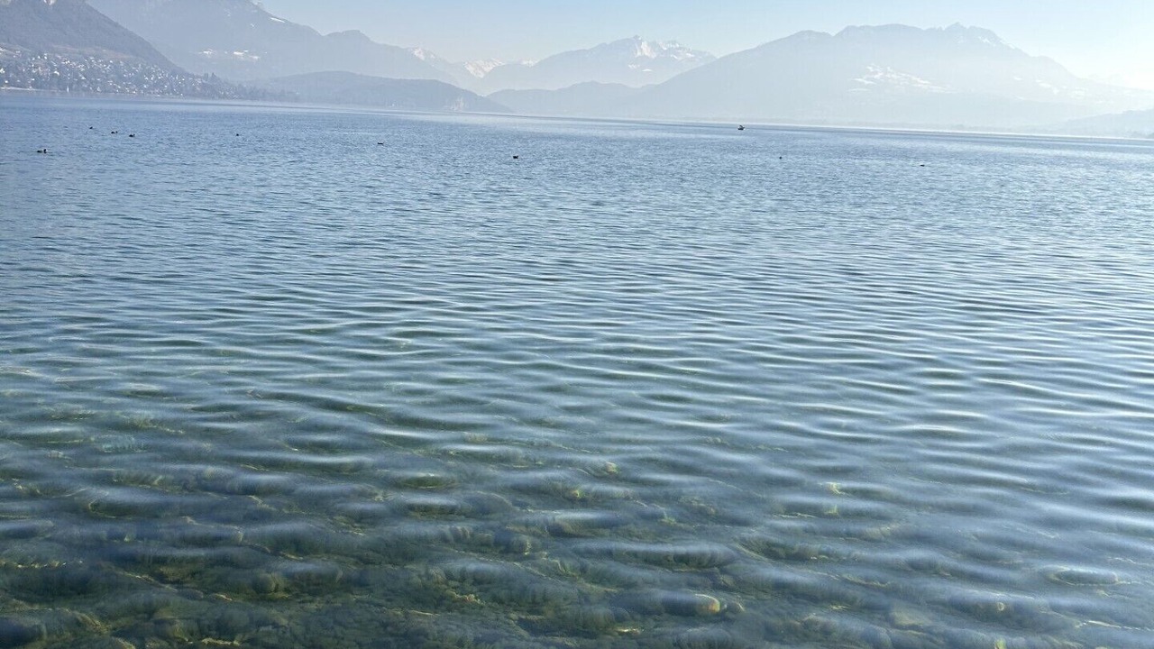 Photo of Others in Annecy Old Town
