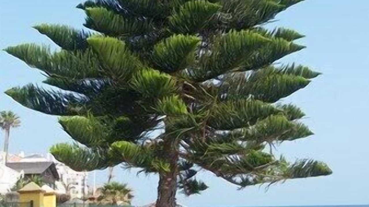 Photo of Others in Sitio de Calahonda