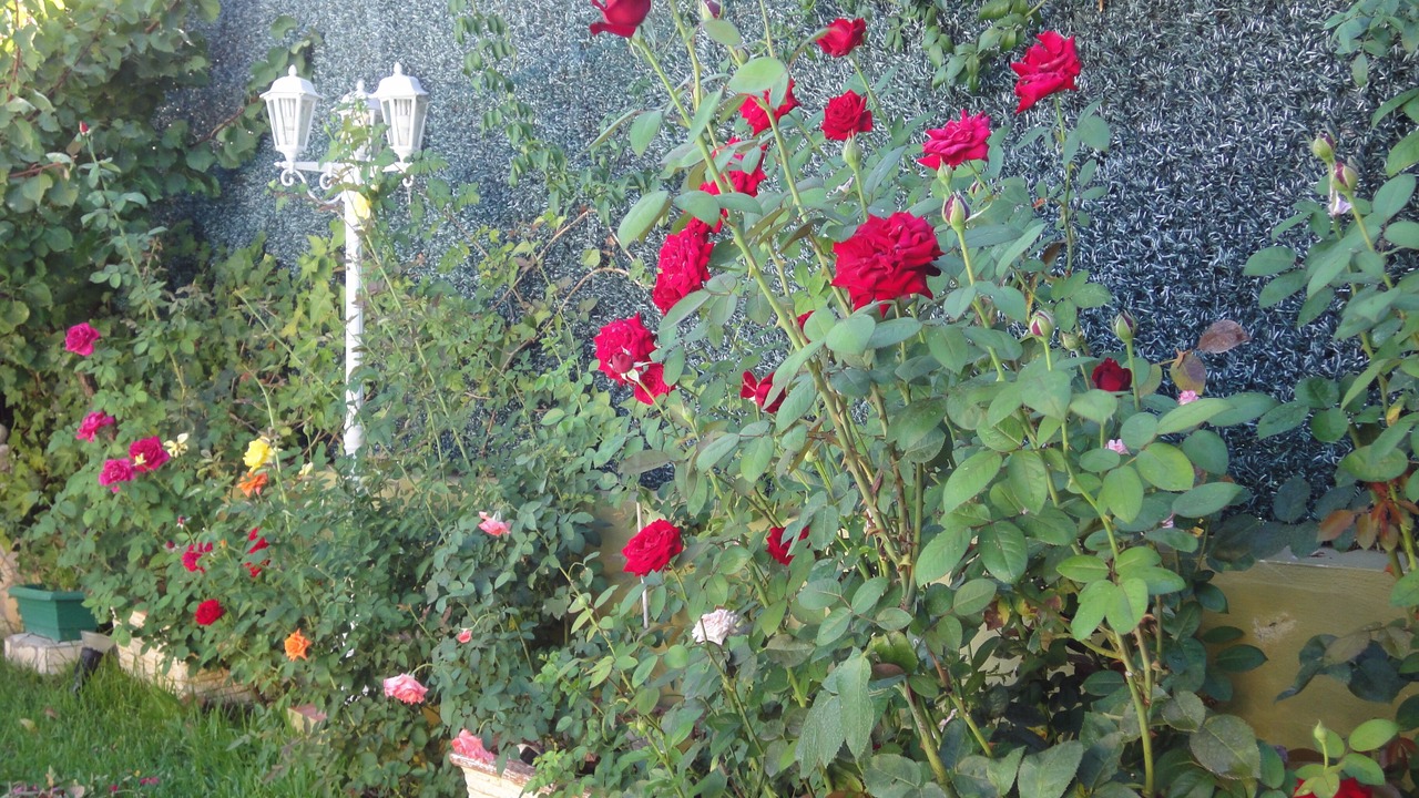 Photo of Outdoor in Velez-Malaga