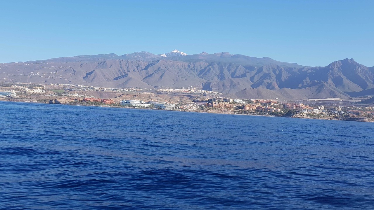 Photo of Others in Costa Adeje