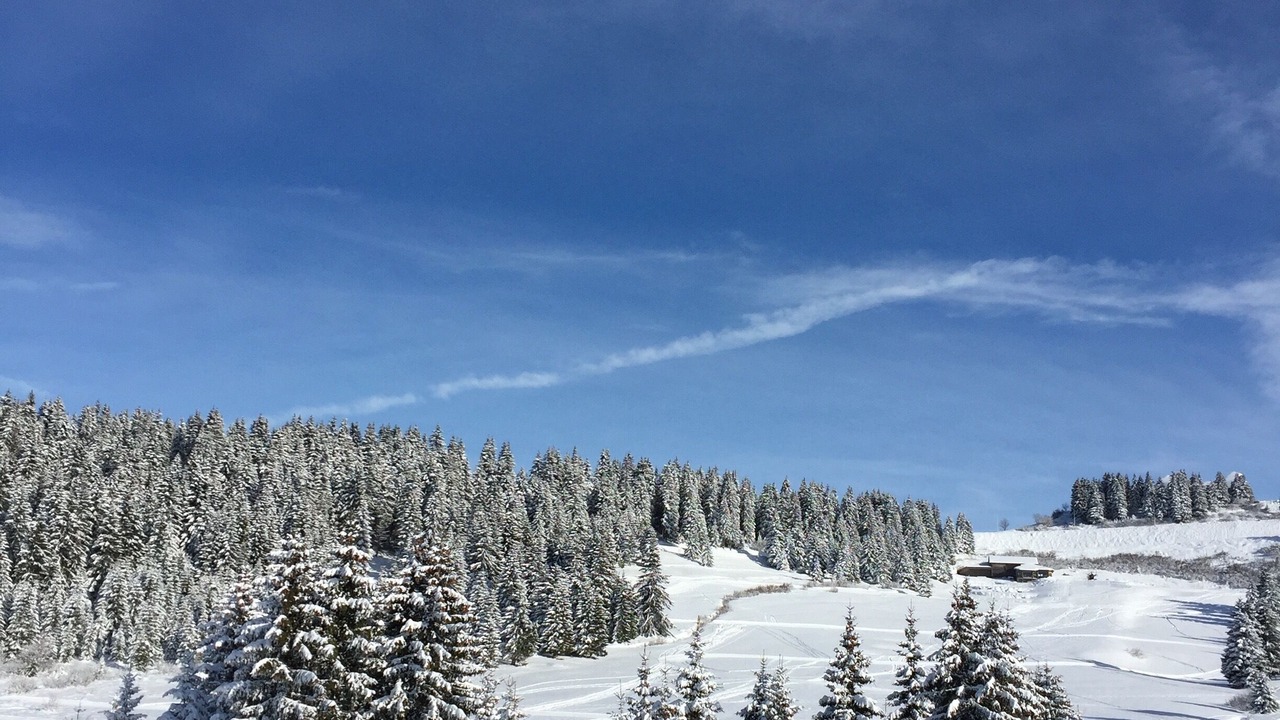 Photo of Others in Morzine