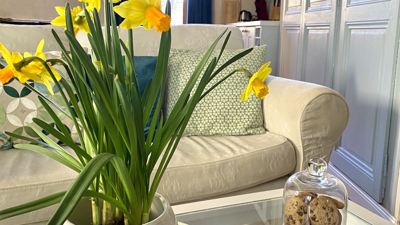 Photo of Livingroom in Saint-Martin-de-Bavel
