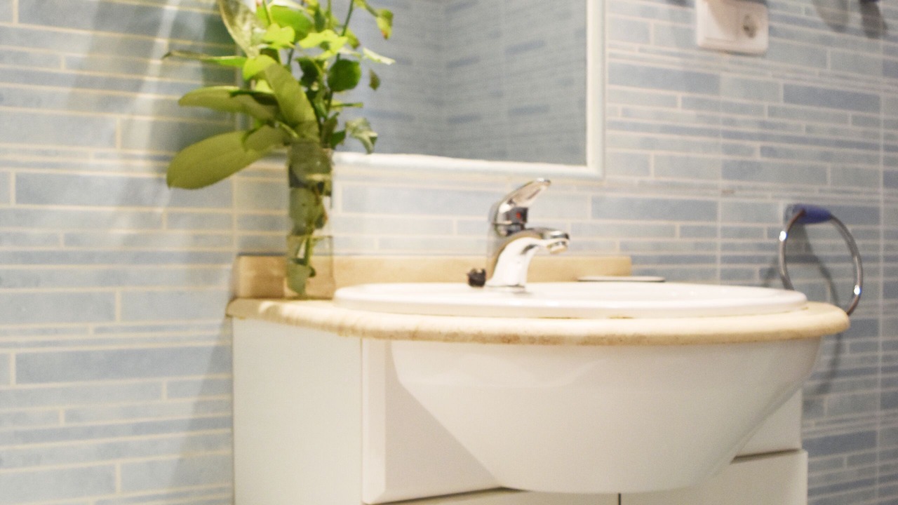 Photo of Bathroom in Molinos de Duero