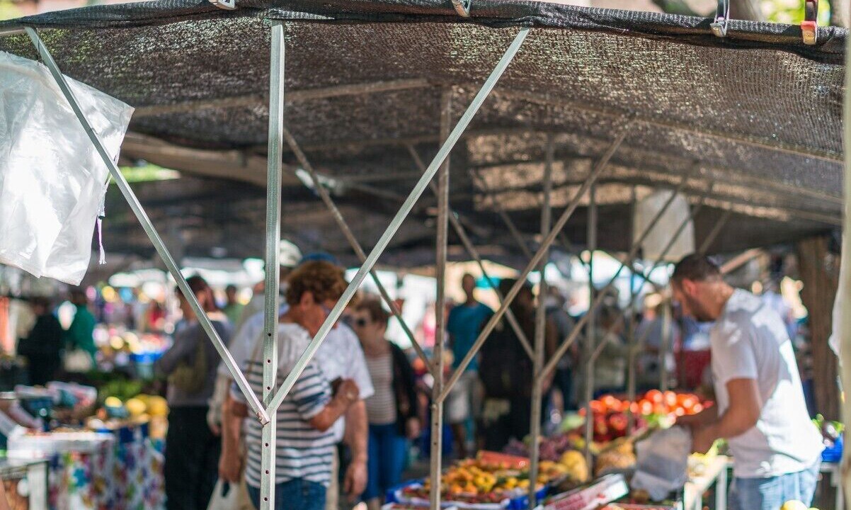 Photo of Others in Alcudia
