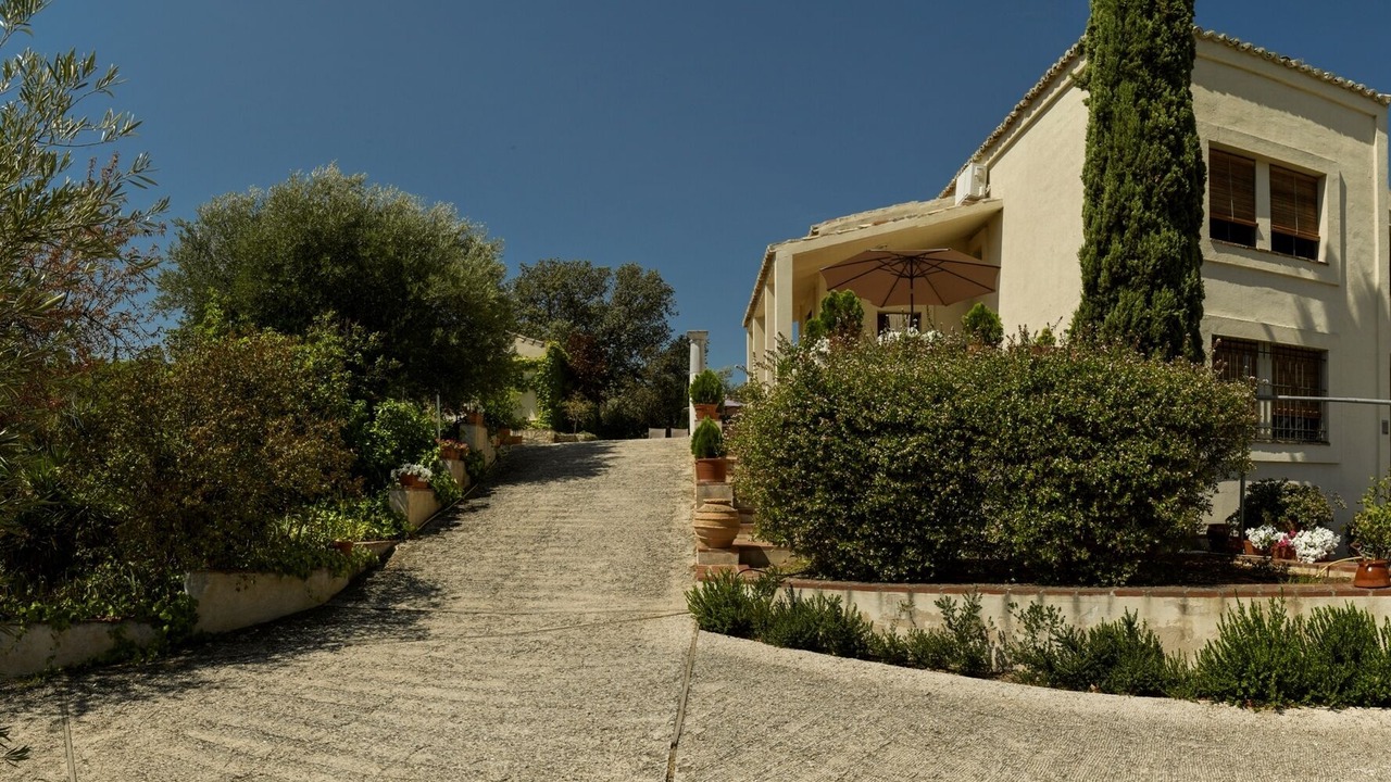 Photo of Outdoor in Province of Toledo