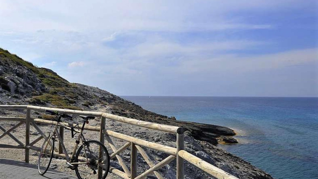 Photo of Others in Cala Mesquida