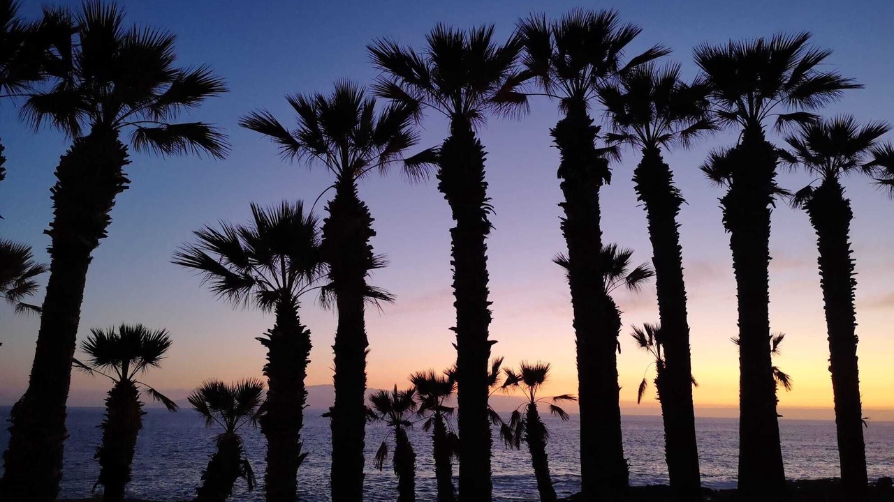 Photo of Outdoor in Puerto de Santiago