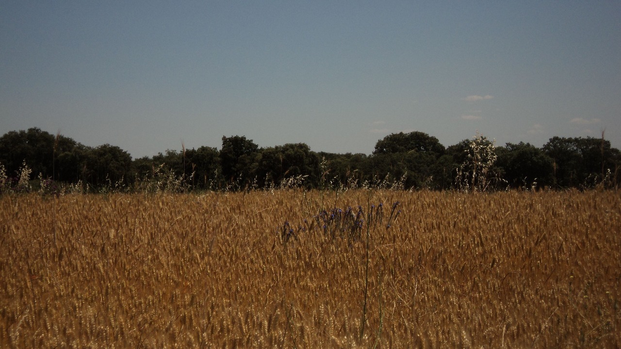 Photo of Outdoor in Hueva
