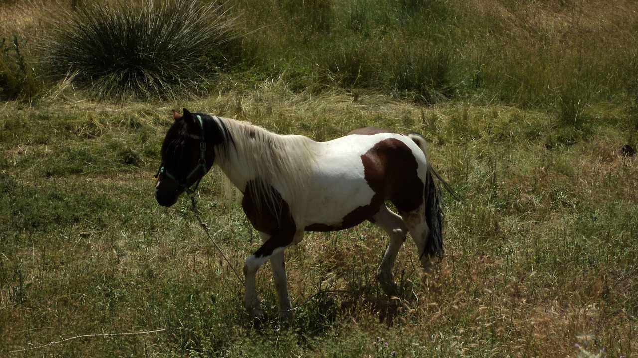 Photo of Outdoor in Hueva