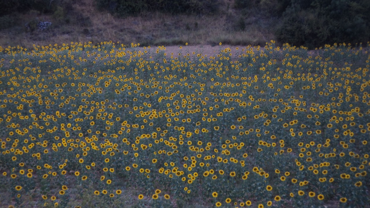 Photo of Outdoor in Hueva